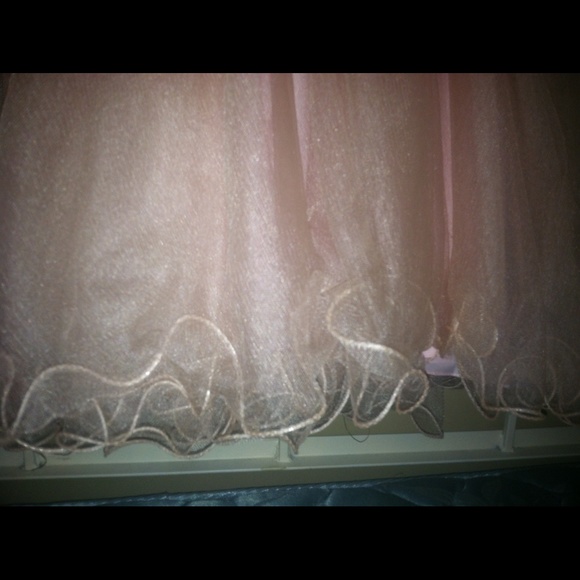 Cinderella Pink Dress - Picture 3 of 4